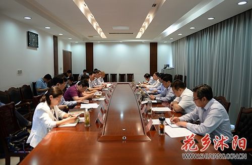 卞建軍主持召開生態環保項目建設推進工作會