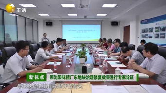 光大環(huán)保 深耕土壤修復(fù)治理，打造標(biāo)桿工程——原沈陽味精廠東地塊項目順利通過論證驗收